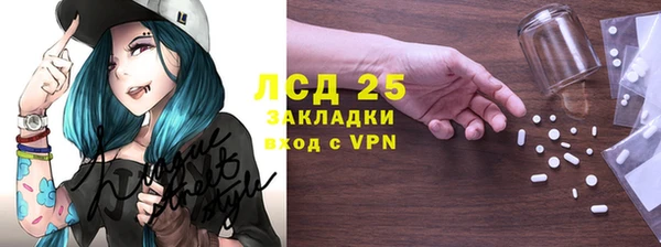 хмурый Аркадак