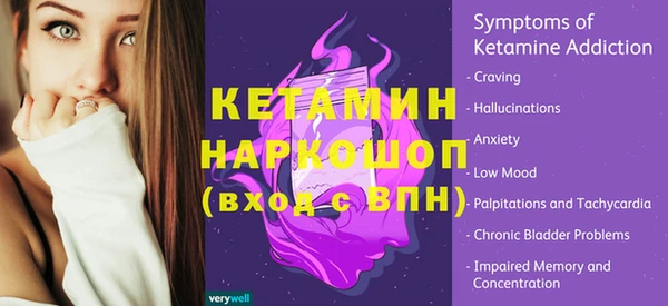 хмурый Аркадак