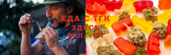 хмурый Аркадак