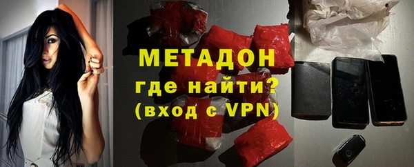 хмурый Аркадак