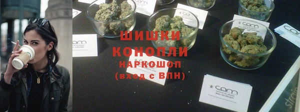 хмурый Аркадак