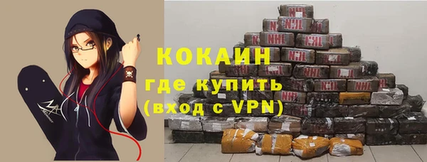 хмурый Аркадак