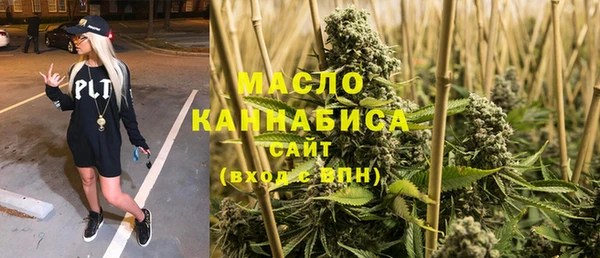 хмурый Аркадак