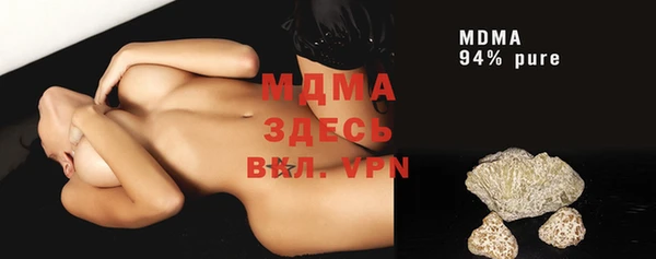 хмурый Аркадак