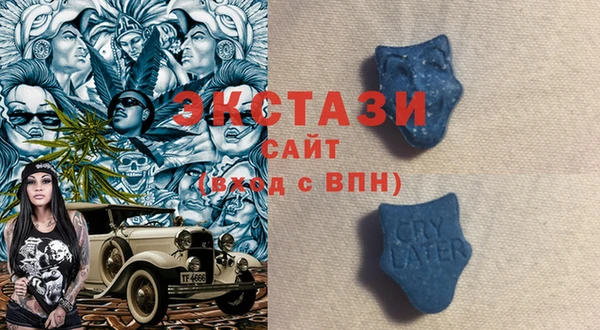 хмурый Аркадак