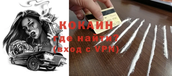 хмурый Аркадак