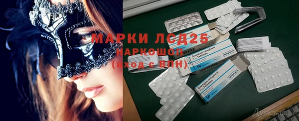 хмурый Аркадак
