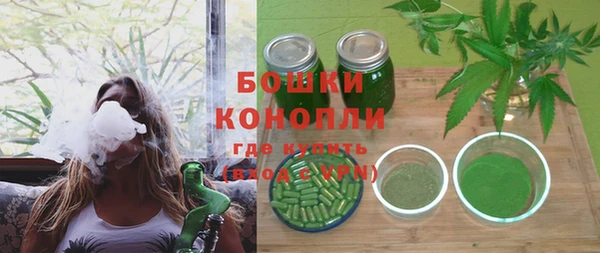 хмурый Аркадак