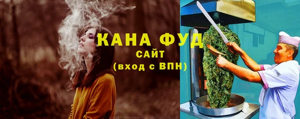 хмурый Аркадак