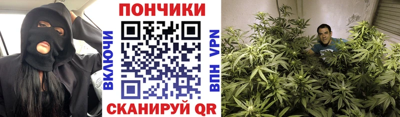 Бошки Шишки VHQ  цены   Себеж 
